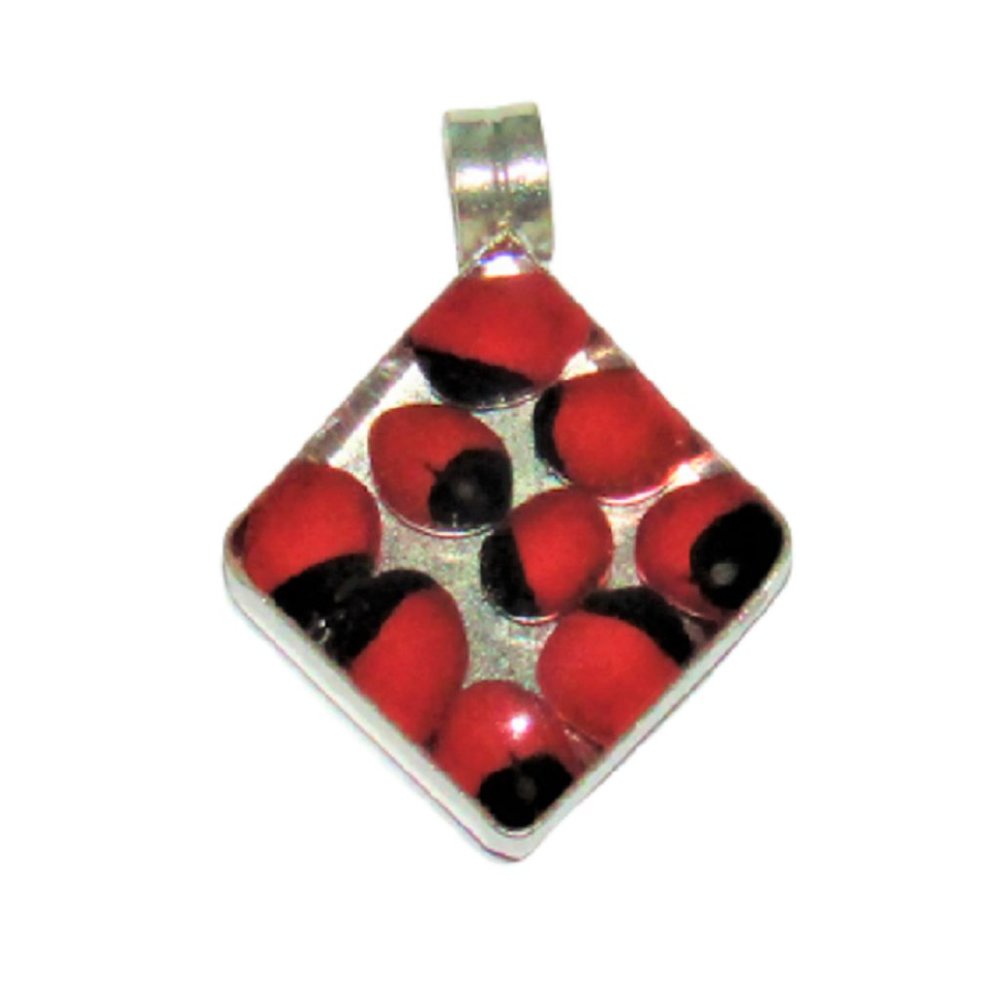 NWOT Beautiful Peruvian Rhombus Huayruro Pendant with Black Cord IT-ZW8F-IPXD